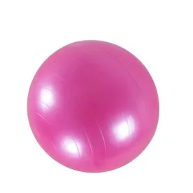 65cm Anti-Burst Gym and Yoga Ball -183087 PINK