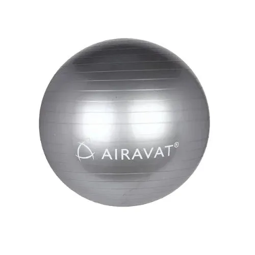 ANTI BURST GYM BALL 4504