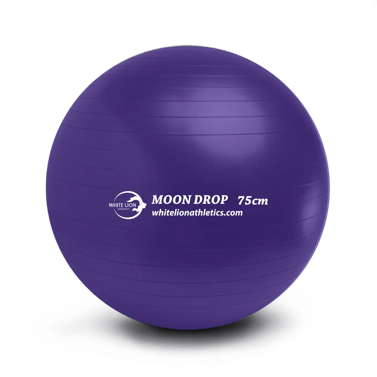 Exercise Ball | Anti-Burst Stability Balls- w/ foot pump (55/65/75cm)
