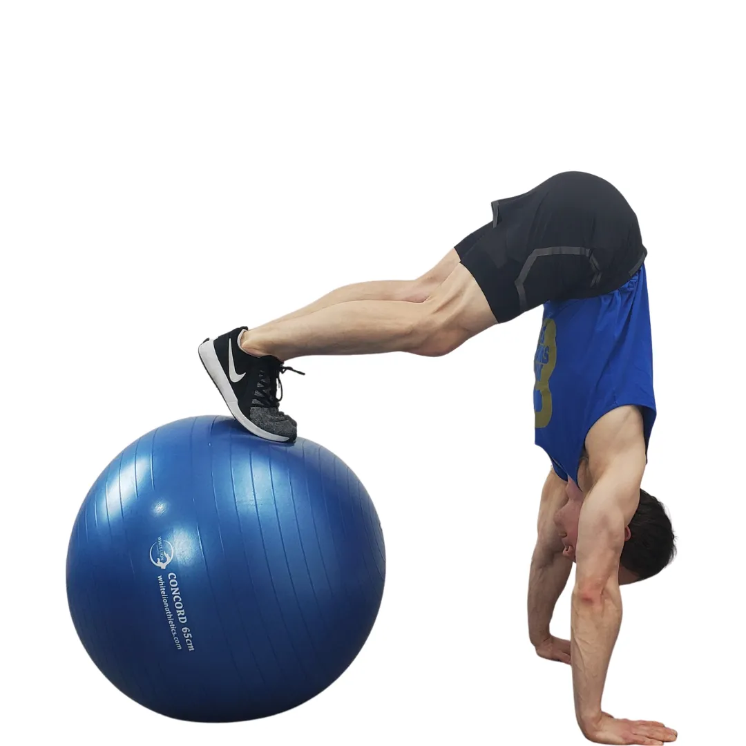Exercise Ball | Anti-Burst Stability Balls- w/ foot pump (55/65/75cm)