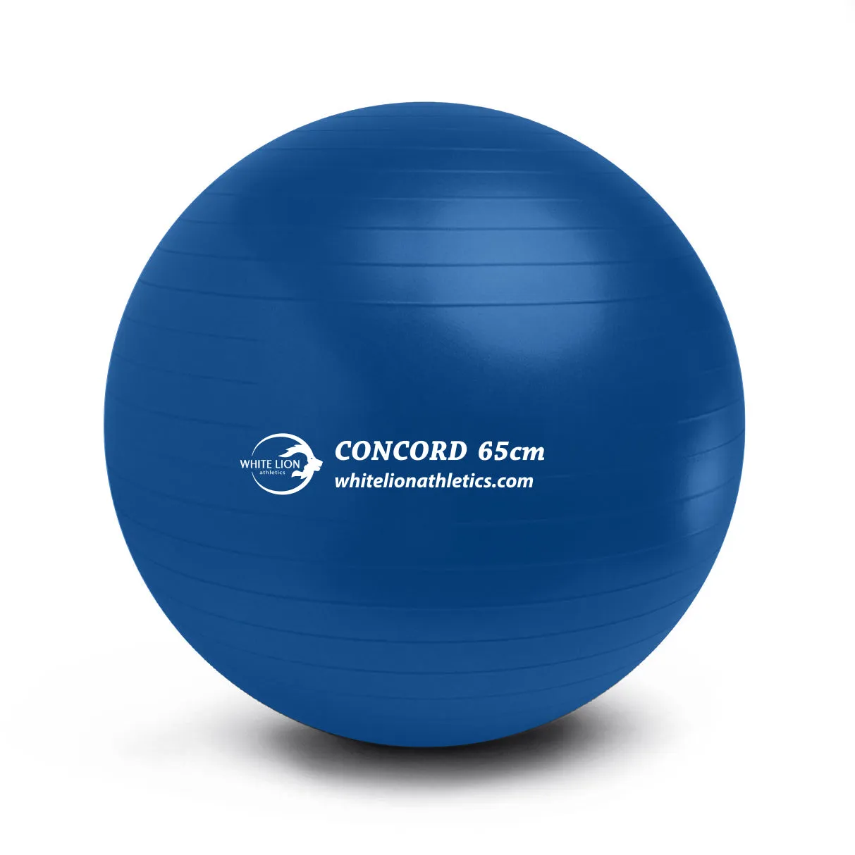 Exercise Ball | Anti-Burst Stability Balls- w/ foot pump (55/65/75cm)