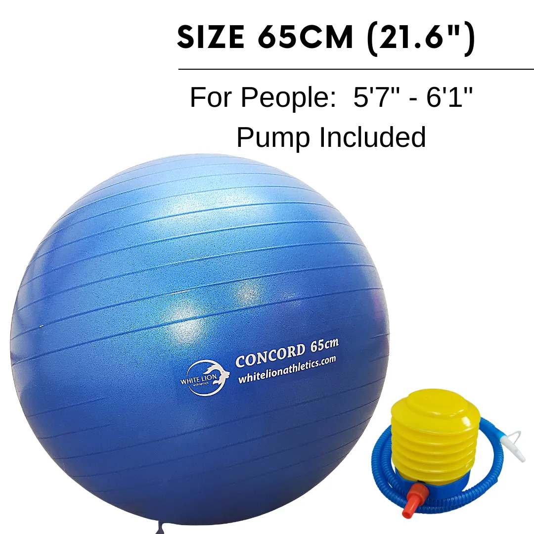 Exercise Ball | Anti-Burst Stability Balls- w/ foot pump (55/65/75cm)