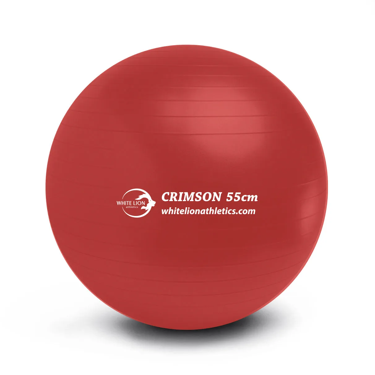Exercise Ball | Anti-Burst Stability Balls- w/ foot pump (55/65/75cm)