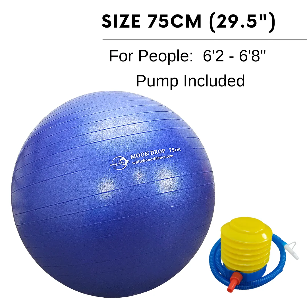 Exercise Ball | Anti-Burst Stability Balls- w/ foot pump (55/65/75cm)