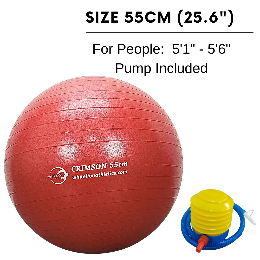 Exercise Ball | Anti-Burst Stability Balls- w/ foot pump (55/65/75cm)