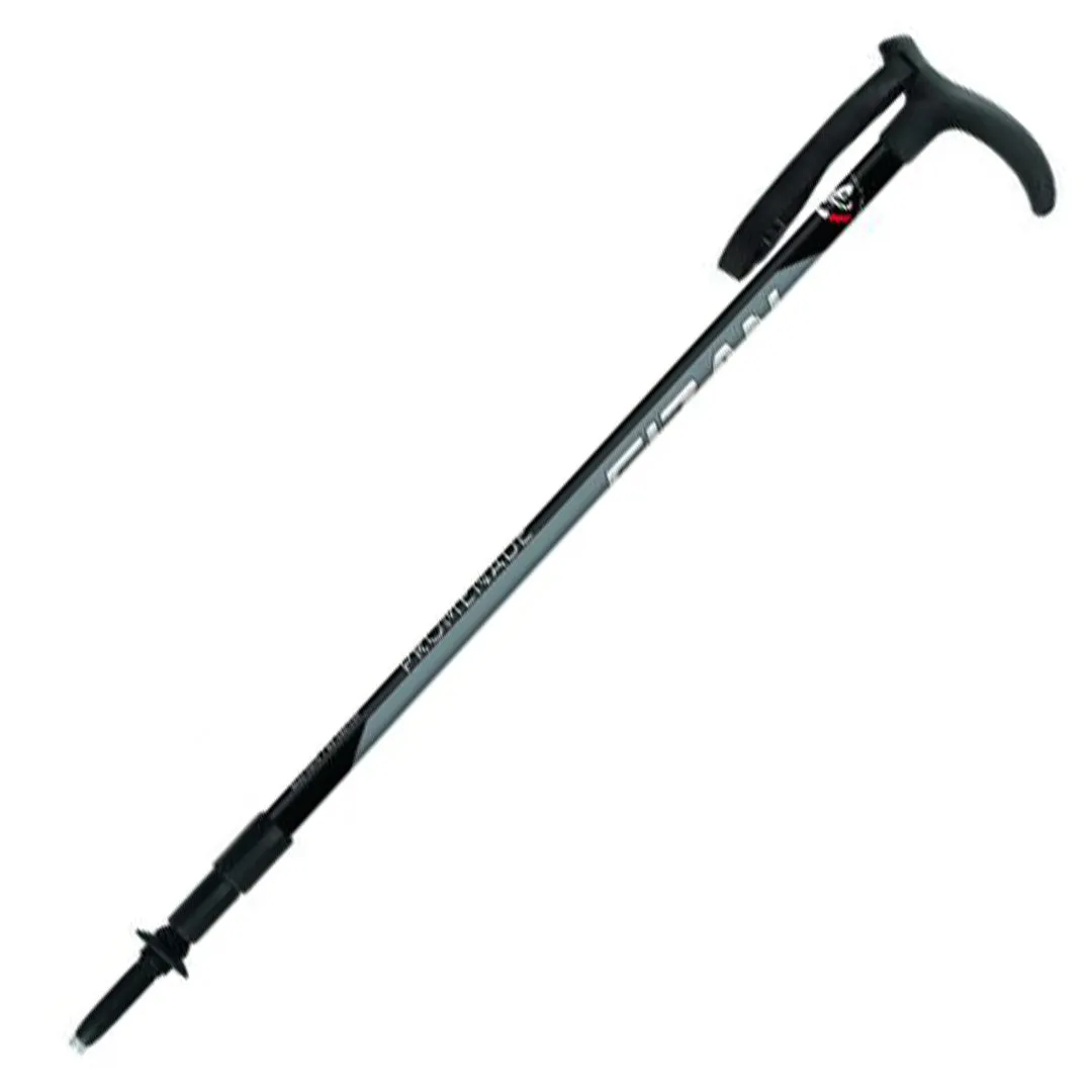 Fizan Promenade Walking Pole