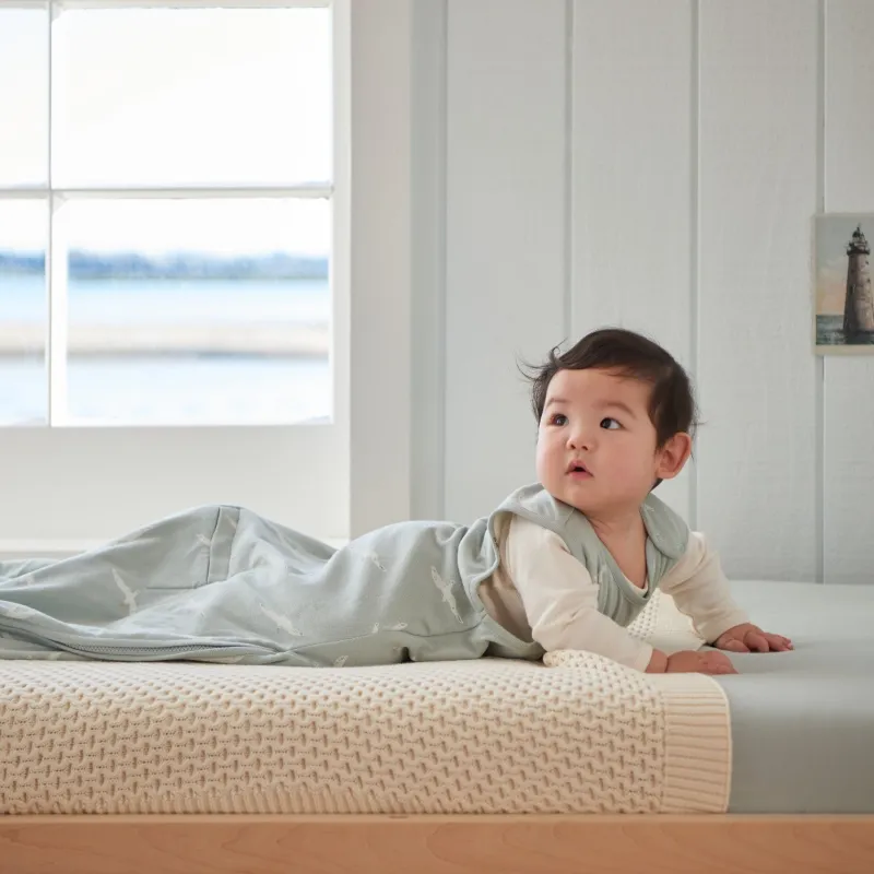 Nature Baby Sleeping Bag - Flying Albatross